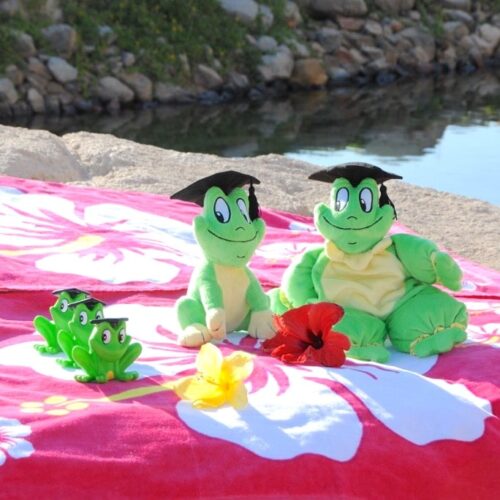 freds-kuschelkissen-frosch freds-kuschelkissen-frosch