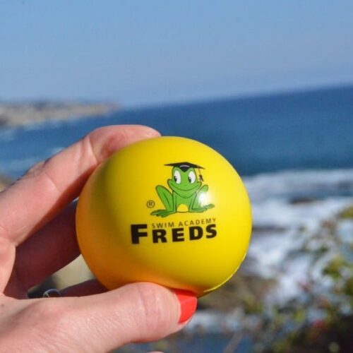 freds-softball-meer freds-softball-meer